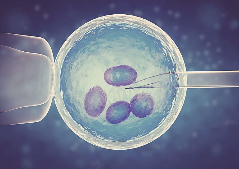 IVF-2-768x543