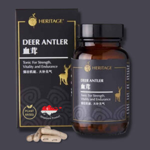 Deer Antler