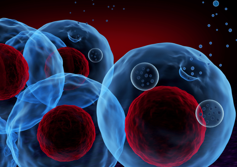 Exosome