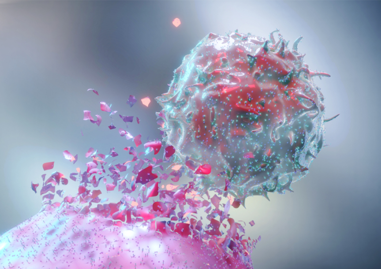 NK Cells