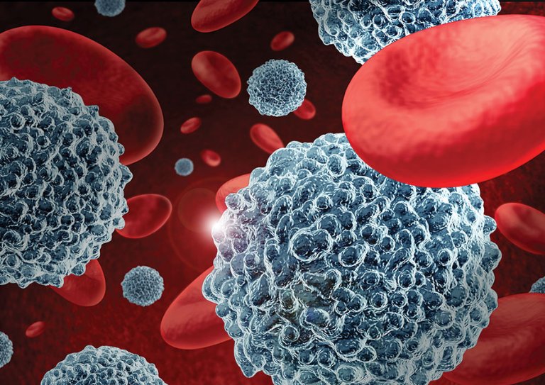 Stem Cells